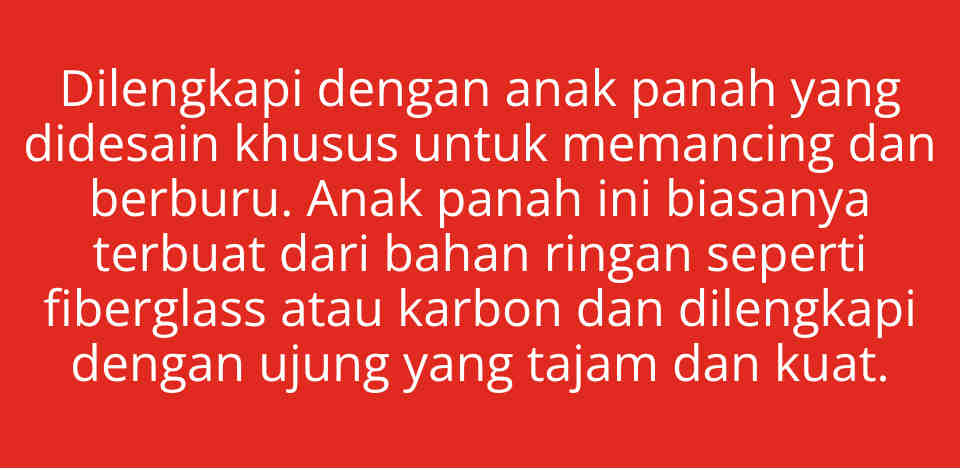VISSER Ketapel Laras Panjang Pemancing dengan Anak Panah - Alat Memancing Serbaguna